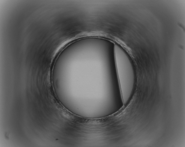 X0000091981174200709061146