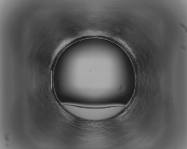 X0000091981175200709061146