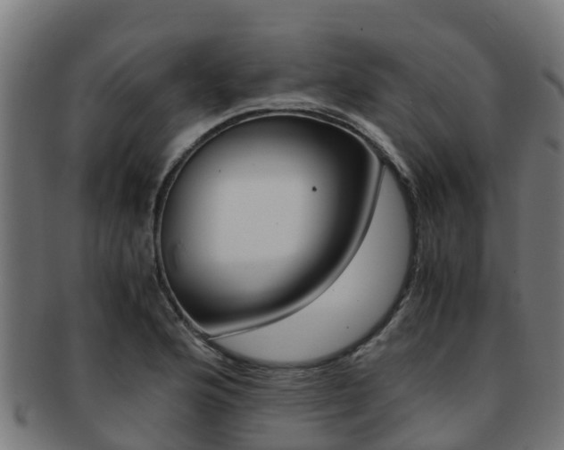 X0000091981176200709061146