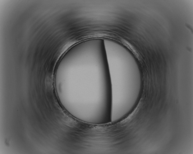 X0000091981178200709061146