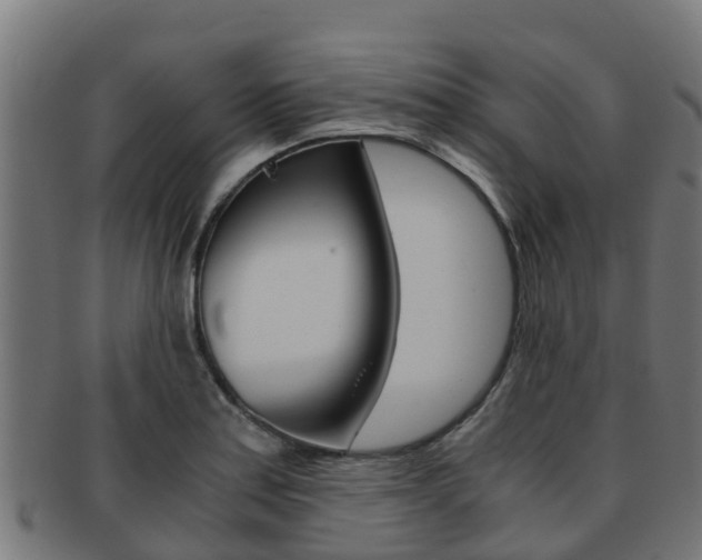 X0000091981179200709061146