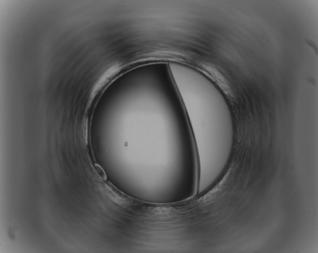 X0000091981180200709061146
