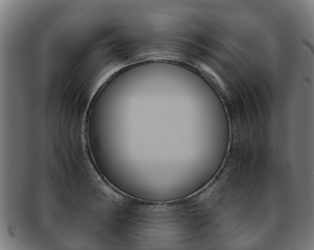 X0000091981182200709061146