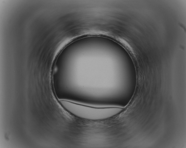 X0000091981183200709061146