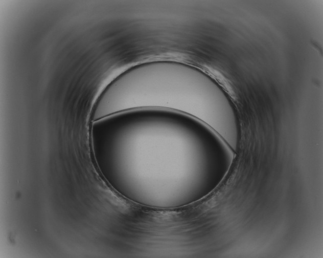 X0000091981184200709061146