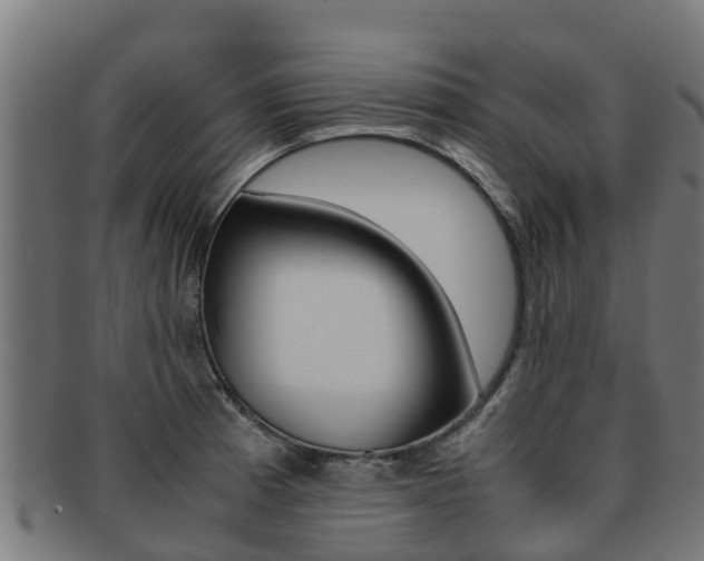 X0000091981185200709061146