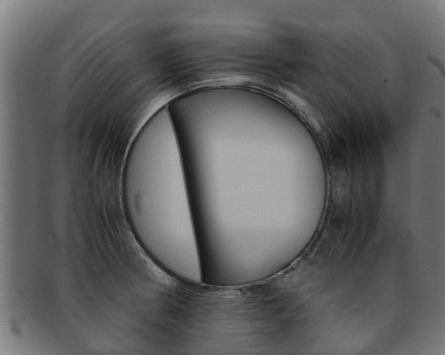 X0000091981186200709061146