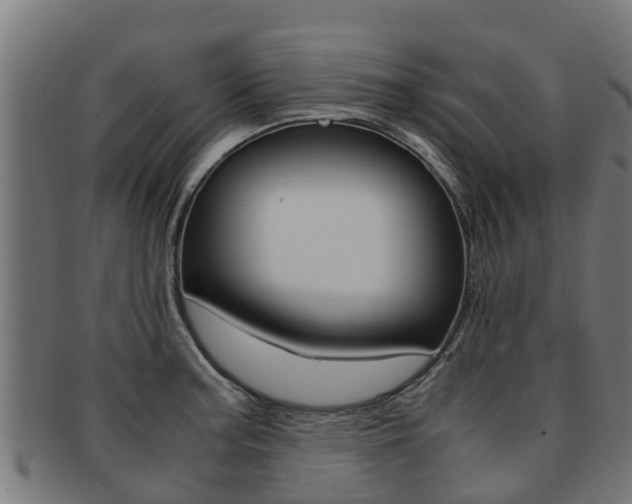 X0000091981187200709061146