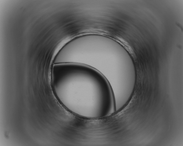 X0000091981188200709061146