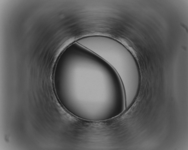 X0000091981189200709061146