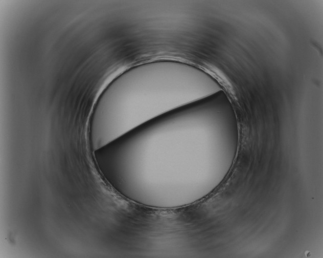 X0000091981190200709061146