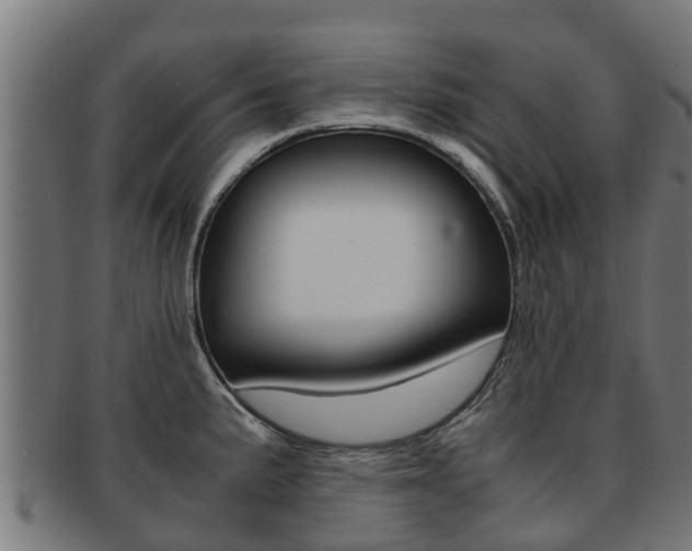 X0000091981191200709061146