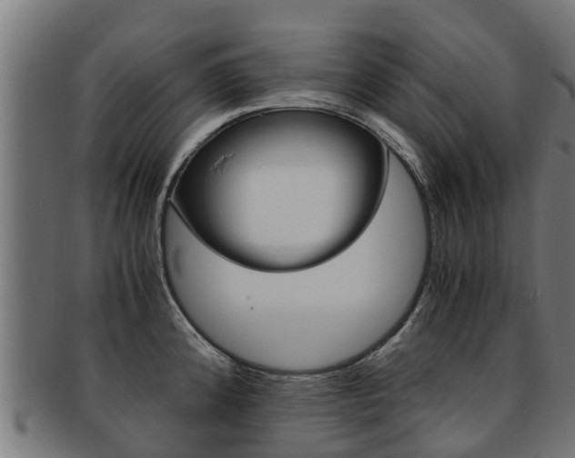 X0000091981192200709061146