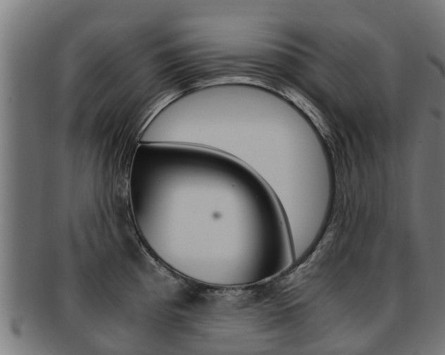 X0000091981193200709061146