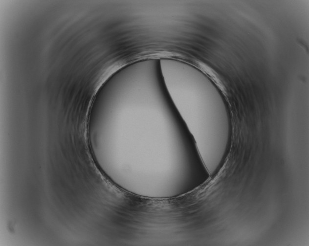 X0000091981194200709061146