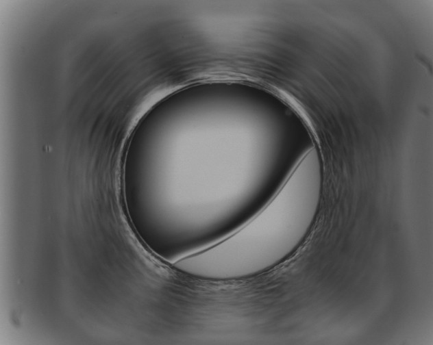 X0000091981195200709061146