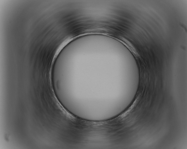X0000091981196200709061146