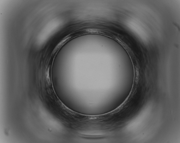 X0000091981198200709061146