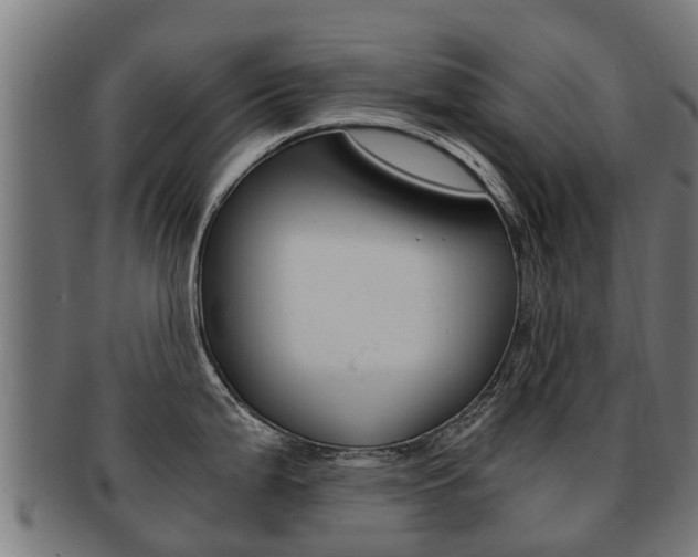X0000091981199200709061146