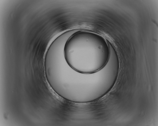 X0000091981200200709061146
