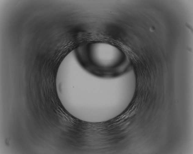 X0000091981202200709061145