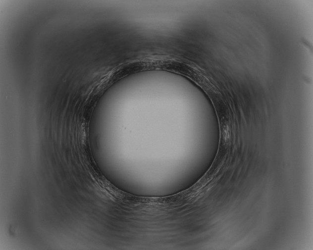 X0000091981204200709061146