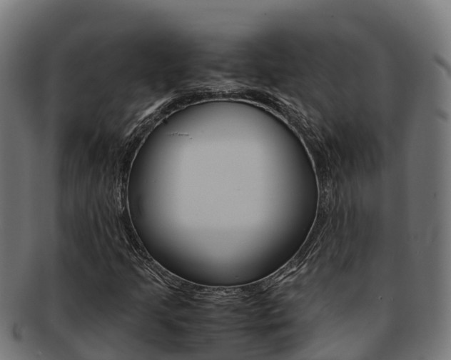 X0000091981205200709061146