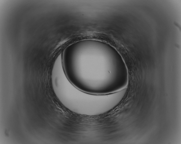 X0000091981206200709061146
