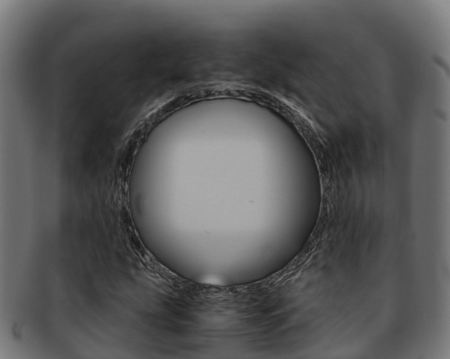 X0000091981207200709061146