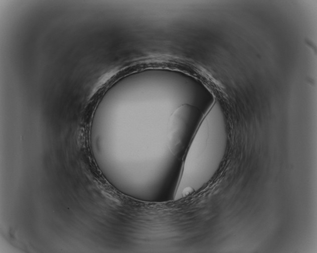 X0000091981208200709061146