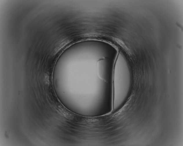 X0000091981209200709061146