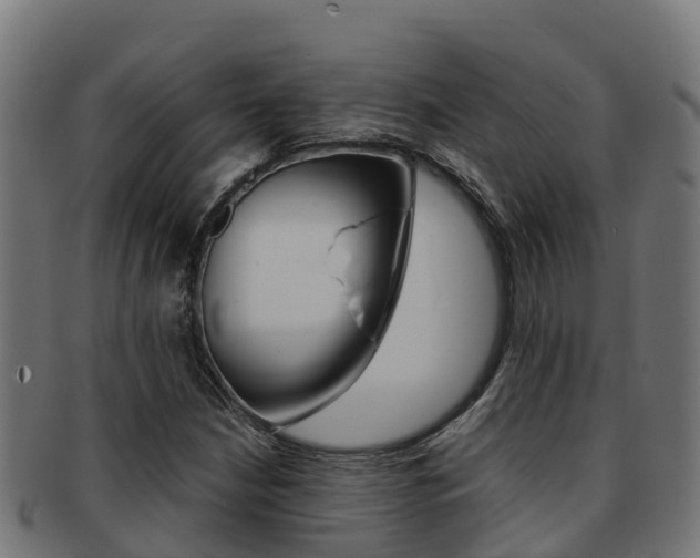 X0000091981210200709061146