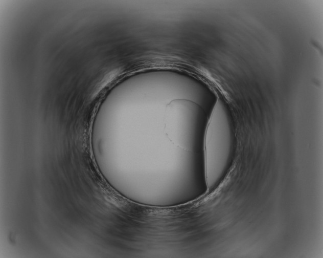 X0000091981211200709061146