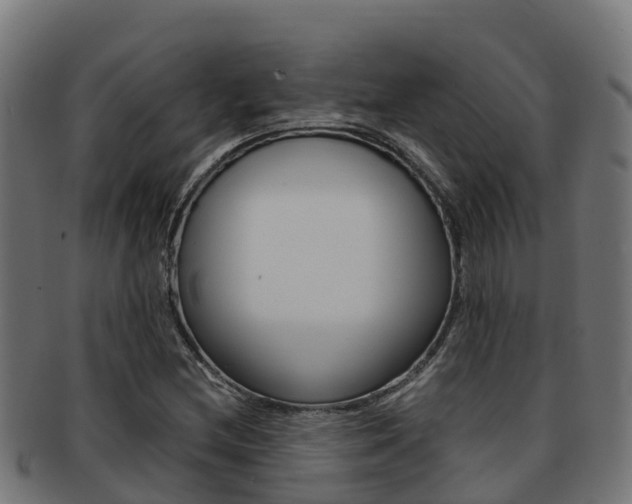 X0000091981212200709061146