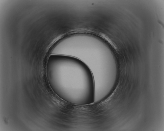 X0000091981213200709061146