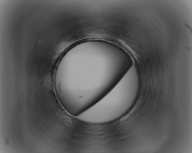X0000091981215200709061146