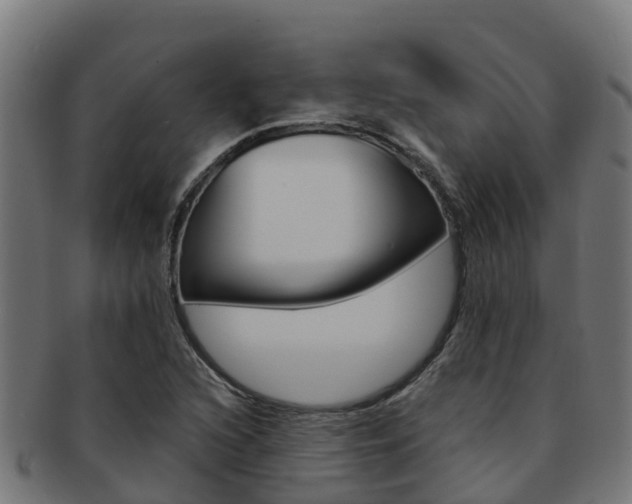 X0000091981216200709061146