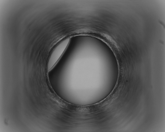 X0000091981217200709061146