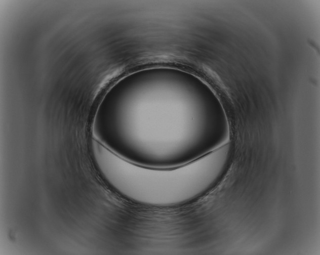 X0000091981218200709061146