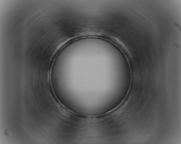 X0000091981220200709061146