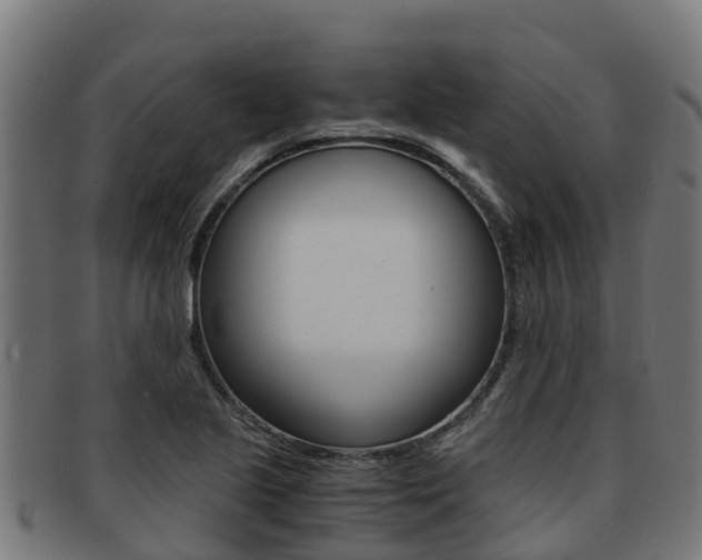 X0000091981221200709061146