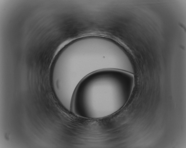 X0000091981222200709061146