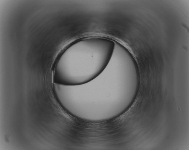 X0000091981223200709061146