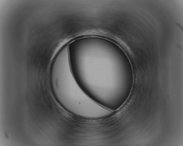 X0000091981224200709061146
