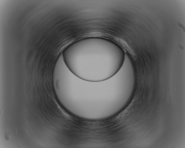 X0000091981225200709061146