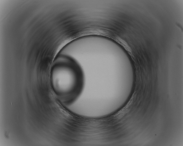 X0000091981226200709061146