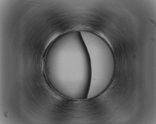 X0000091981227200709061146
