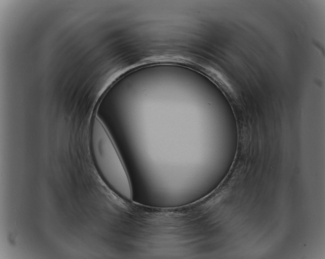 X0000091981228200709061146