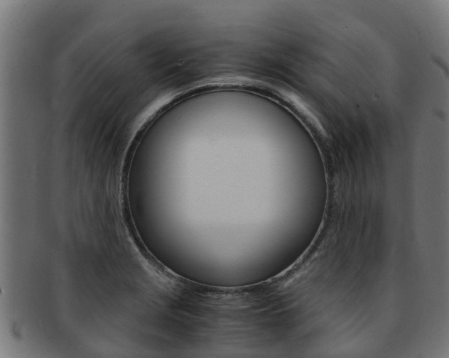 X0000091981229200709061146
