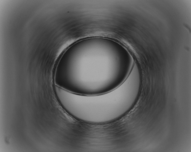 X0000091981230200709061146